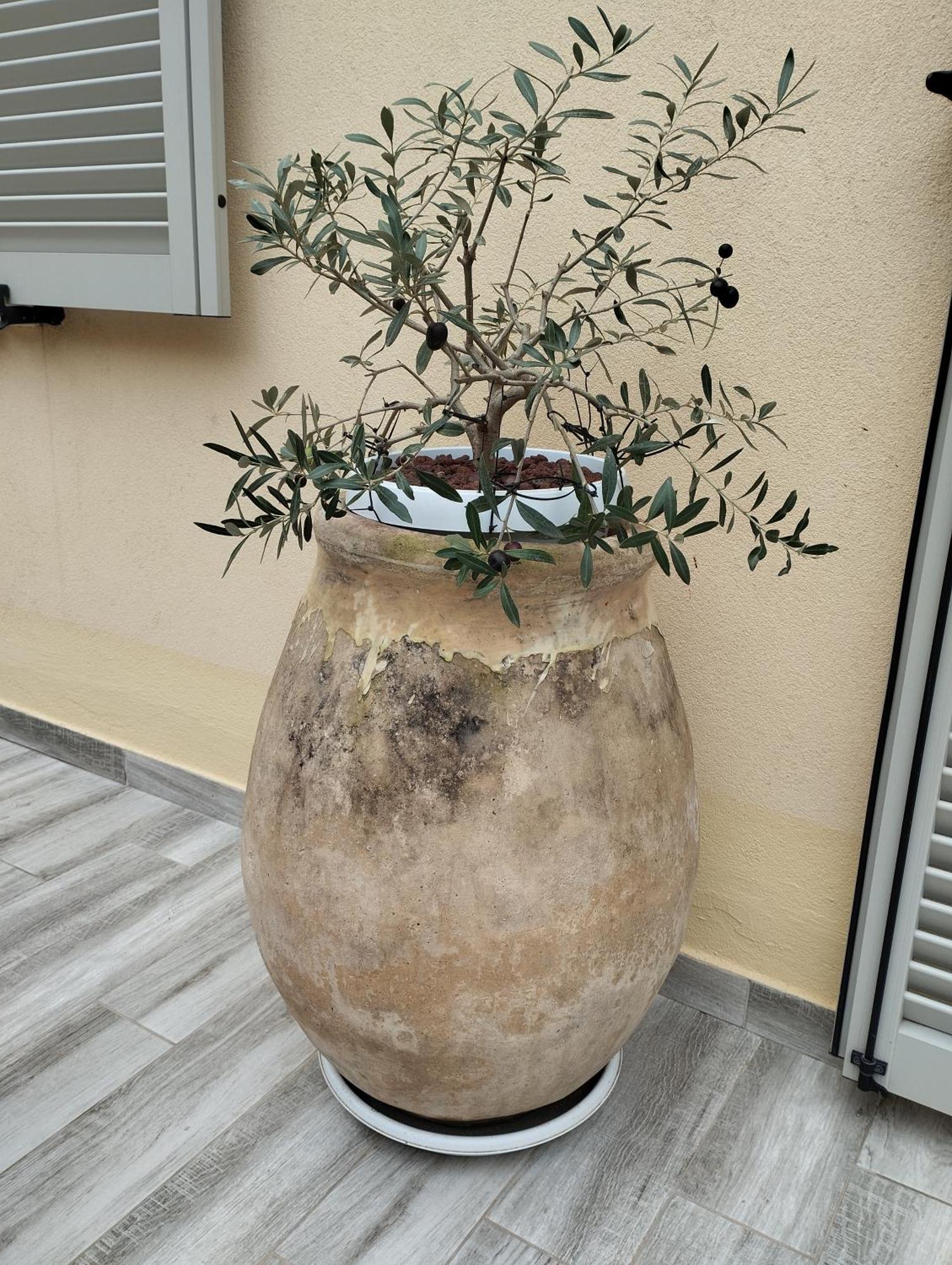 Pama Mar Apartment Imperia Bagian luar foto