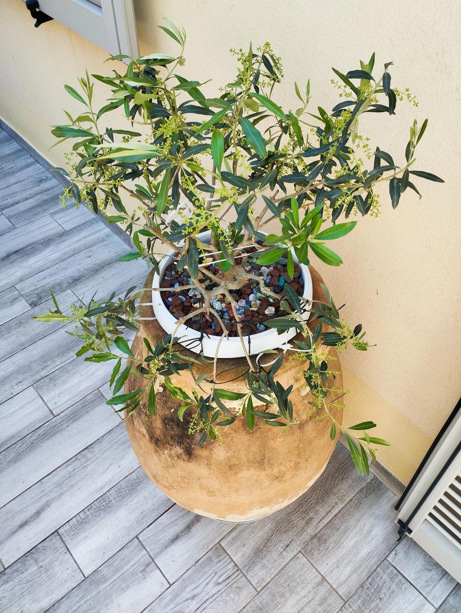 Pama Mar Apartment Imperia Bagian luar foto